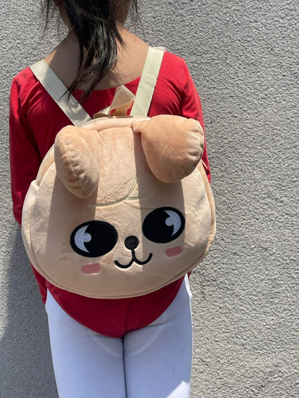 Stray Kids Backpacks Plush Cartoon KPOP Student Backpack Stray Kids Backpacks - Image 15