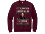 Stray Kids Lee Know Ugly Christmas Sweatshirt
