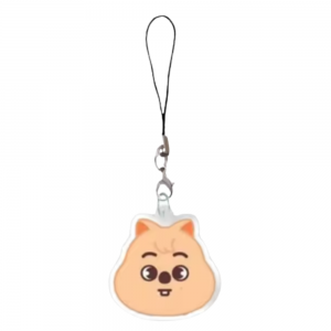 Stray Kids Keychains – Trendy Idol Accessory NTAN0403