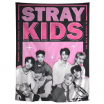 Stray Kids Wall Art – Modern Idol Room Decor NTAN0603
