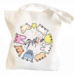 Stray Kids Bags – Comfortable Fan Everyday Bag NTAN1003