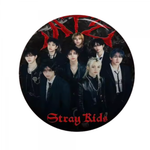 Stray Kids Pins – Premium K-Pop Fan Pin NTAN1103