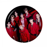 Stray Kids Pins – K-Pop Collectible Accessory NTAN1903