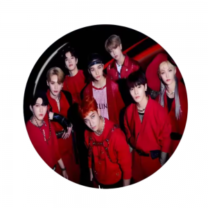 Stray Kids Pins – K-Pop Collectible Accessory NTAN1903