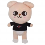20cm Skzoo Plush Toys Stray Kids Cartoon Stuffed Tour 2026 SeungMin  Plushies