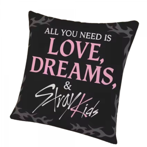 Stray Kids Pillows – K-Pop Throw Pillow NTAN0104
