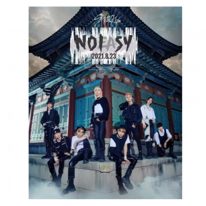 Stray Kids Art Music Album Life Aesthetic Canvas NTAN0304