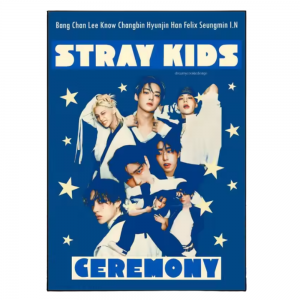 Wall Art Waterproof Reusable KPOP NTAN0604