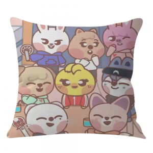 Kpop Stray--kids S-skzoo Cool Cushion Cover NTAN0804