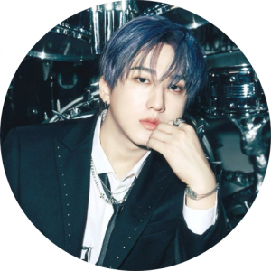 Home 9 - Stray Kids Store Changbin Merch