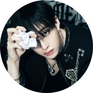 Home 10 - Stray Kids Store Bang Chan Merch